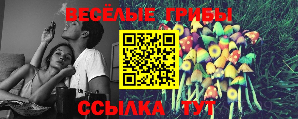 Галлюциногенные грибы MAGIC MUSHROOMS  Вход с VPN  Псилоцибиновые грибы GOLDEN TEACHER  Баксан 