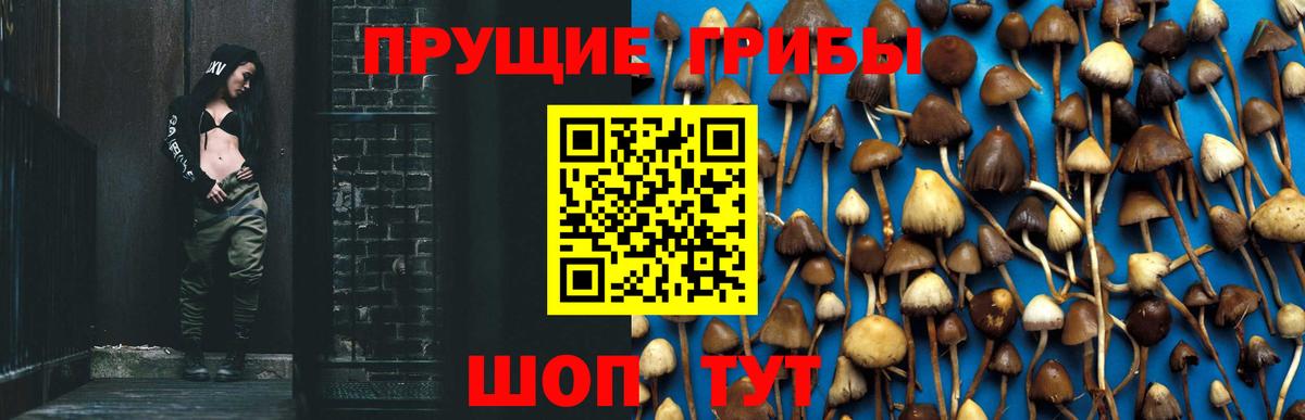 Галлюциногенные грибы мухоморы Баксан