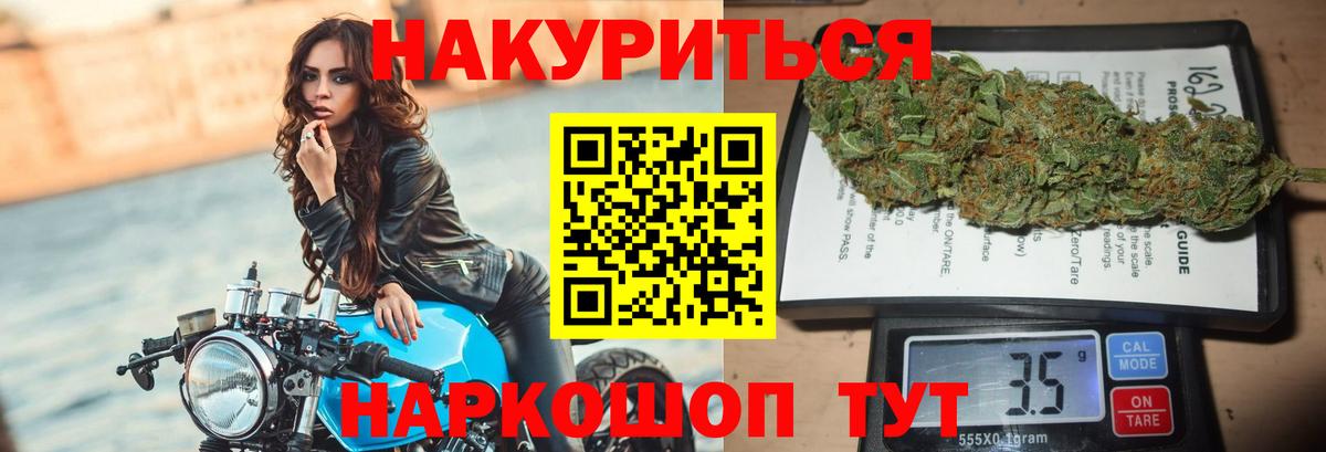 Каннабис OG Kush  Марихуана сатива  Бошки Шишки OG Kush  Вход с VPN  Баксан 